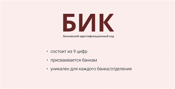 Что такое Вик?