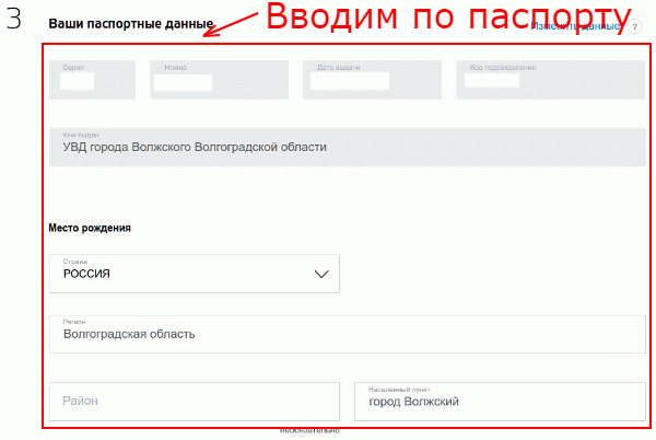 Ввод паспортных данных
