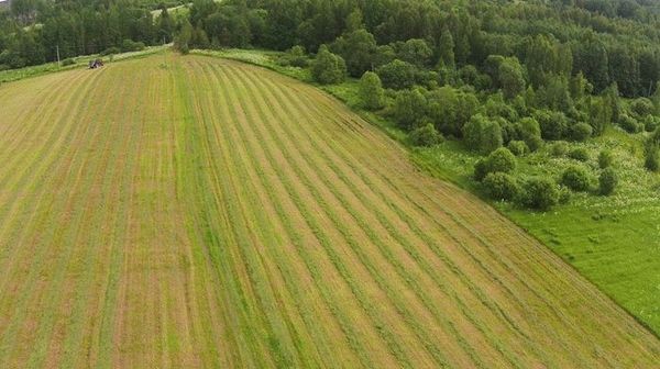 Продажа и покупка сельскохозяйственных земель между физическими лицами