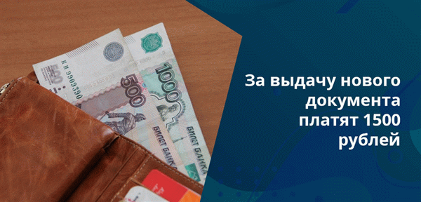 В маловероятном случае, если ваш паспорт будет утерян, вы можете не оплатить сбор за получение нового документа.