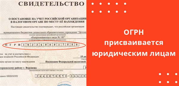 ОГРН присваиваются юридическим лицам и индивидуальным предпринимателям.